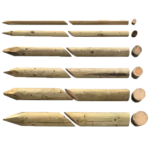 pali